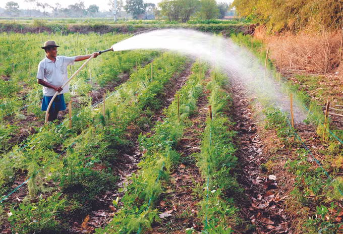 ខេត្ត ត្រាវិញ ប្រមូលផ្ដុំប្រភពកម្លាំងសម្រាប់កាត់បន្ថយភាពក្រីក្រនៅតំបន់បងប្អូនជនជាតិ ខ្មែរ ảnh 4