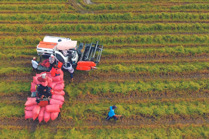 ខេត្ត ត្រាវិញ ប្រមូលផ្ដុំប្រភពកម្លាំងសម្រាប់កាត់បន្ថយភាពក្រីក្រនៅតំបន់បងប្អូនជនជាតិ ខ្មែរ ảnh 5