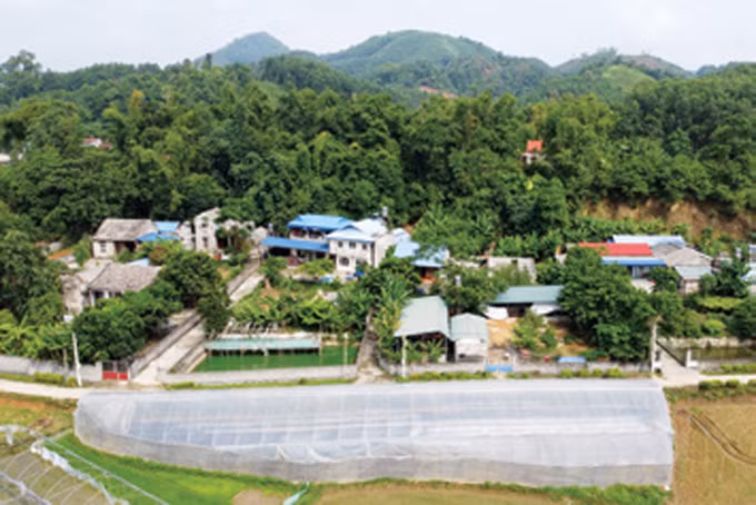 ខេត្ត ថាយង្វៀន អភិវឌ្ឍន៍ហេដ្ឋារចនាសម្ព័ន្ធលើដែនដីកំណើតនៃបដិវត្តន៍ ảnh 4