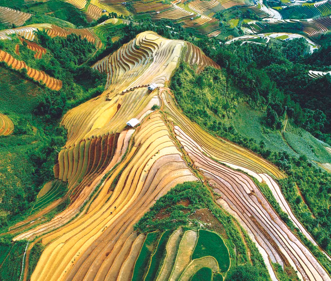 "នាគភ្នំ" នៅឃុំ ឡាប៉ានតឹន ស្រុក មូកាងចាយ ខេត្ត អៀនបាយ ảnh 1