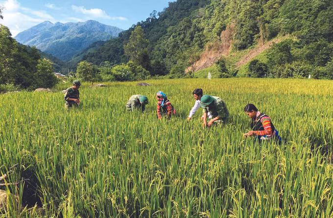 ស្ពានចម្លងផ្សារភ្ជាប់ចំណងមេត្រីភាពរវាងកងទ័ពនិងប្រជាជន ảnh 1