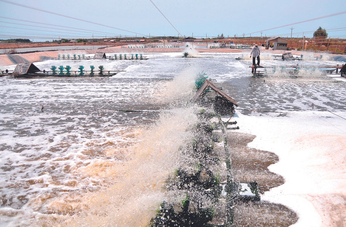 និទាឃរដូវថ្មីនៅលើដែនដី វិញចូវ ảnh 3