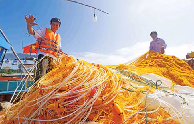 លីសឺន កោះជួរមុខនៃមាតុភូមិ ảnh 4