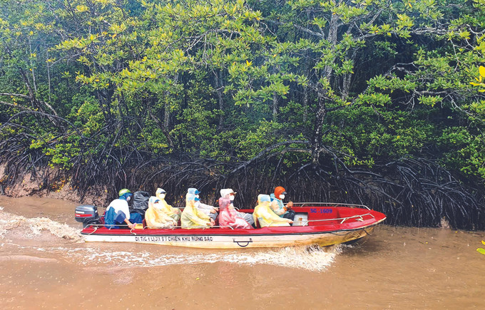 ទីក្រុង ហូ ជីមិញ បើកដំណើរការសកម្មភាពទេសចរឡើងវិញ ảnh 1