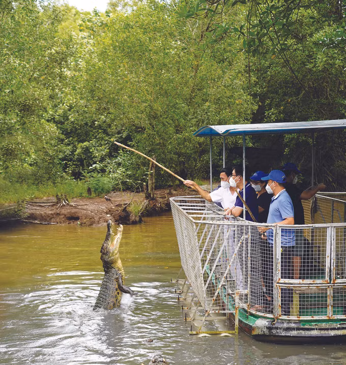 ទីក្រុង ហូ ជីមិញ បើកដំណើរការសកម្មភាពទេសចរឡើងវិញ ảnh 2