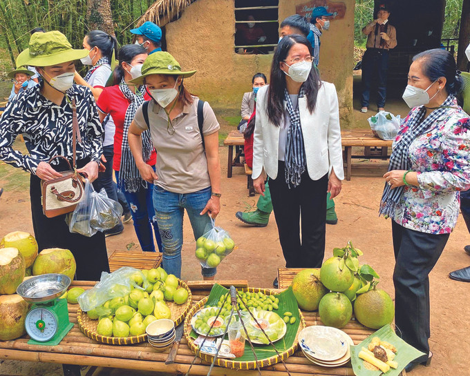 អ្នកដំណើរទាំងឡាយដែលអញ្ជើញចូលរួមកម្មវិធីទេសចរវិលត្រឡប់ទៅរកប្រភពដើមនៅតំបន់បដិវត្តន៍ "ដំណើរការបៃតងមកកាន់ដែនដីដែកថែប" អញ្ជើញទស្សនាចម្ការផ្លែឈើនៅមណ្ឌលទេសចរណ៍អេកូឡូស៊ី តាមតឹន ស្រុក គូជី (ទីក្រុង ហូ ជីមិញ) ទីក្រុង ហូ ជីមិញ បើកដំណើរការសកម្មភាពទេសចរឡើងវិញ ảnh 4