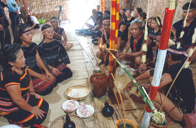 ពិធីទទួលកូនធម៌របស់ជនជាតិ បាណា ត្រូវបានរៀបចំឡើងក្រោមសក្ខីភាពរបស់អ្នករាល់គ្នា ទំនៀបទម្លាប់ចងសម្ពន្ធមេត្រីភាពរបស់ជនជាតិ បាណា ảnh 2