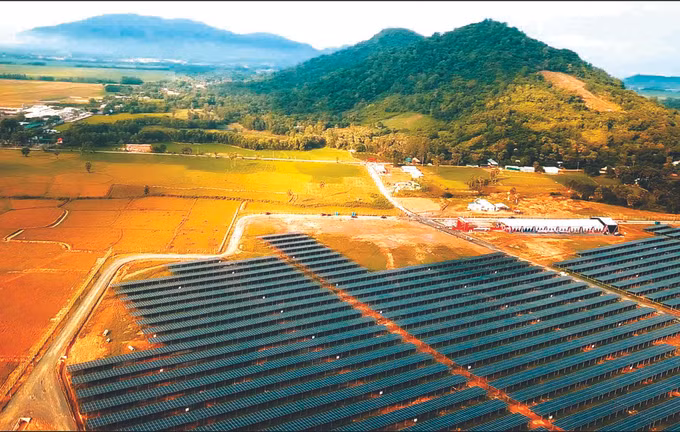 ការអភិវឌ្ឍថាមពលកកើតឡើងវិញនៅតំបន់វាលទំនាបទន្លេ គឺវឡុង ảnh 6