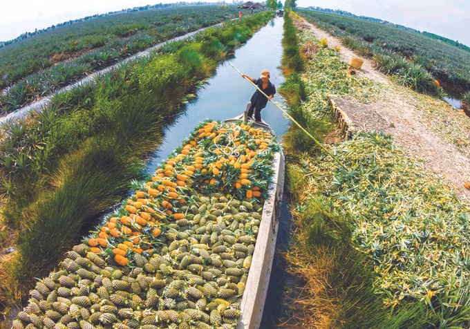 ដំណើររុករកភូមិទេសចរណ៍សហគមន៍ម្នាស់ កូវឌុក ảnh 1