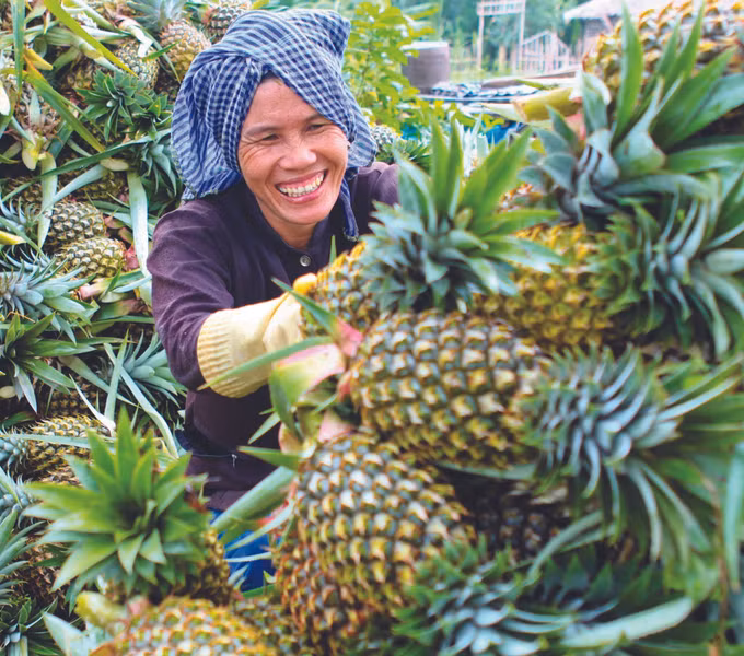 ដំណើររុករកភូមិទេសចរណ៍សហគមន៍ម្នាស់ កូវឌុក ảnh 3