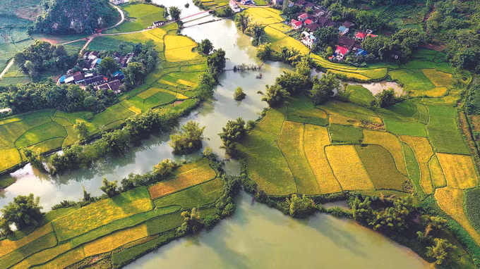 សម្រស់ពោរពេញទៅដោយមនោសញ្ចេតនានិងដ៏មនោរម្យនៃ ផុងណឹម ảnh 1