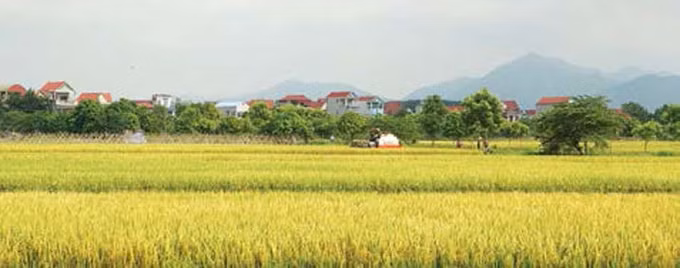 ហាណូយ កសាងជនបទថ្មីនៅតំបន់ជនជាតិនិងតំបន់ភ្នំ ảnh 3