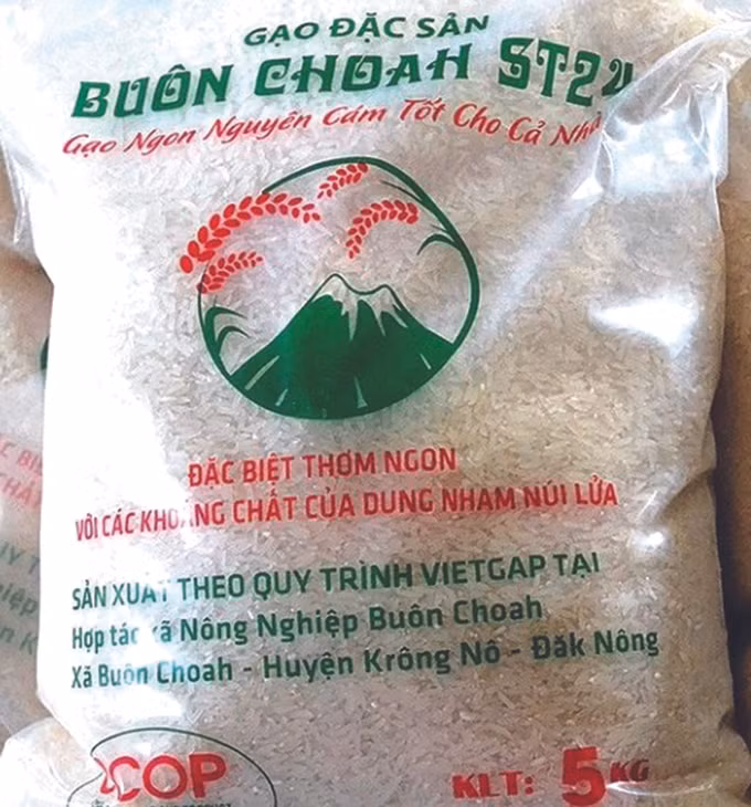 ស្រូវអង្ករ បួនច្វហ៍ ảnh 3