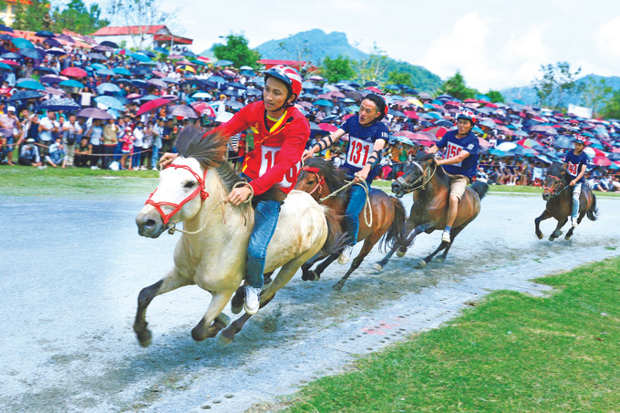 ពិធីបុណ្យប្រណាំងសេះ បាក់ហា ពាំនាំមកឲ្យទស្សនិកជននូវឈុតសម្តែងដ៏ទាក់ទាញ ដ៏ប្លែកភ្នែក ពិធីបុណ្យប្រណាំងសេះ បាក់ហា ក្លាយជាសម្បត្តិបេតិកភណ្ឌវប្បធម៌អរូបីថ្នាក់ជាតិ ảnh 1