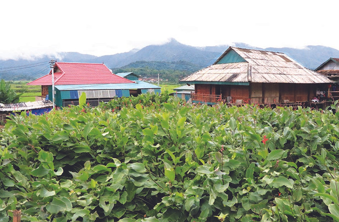 ឃុំ មឿងផាំងក្នុងអតីតកាល ពេលបច្ចុប្បន្ននេះ ảnh 3