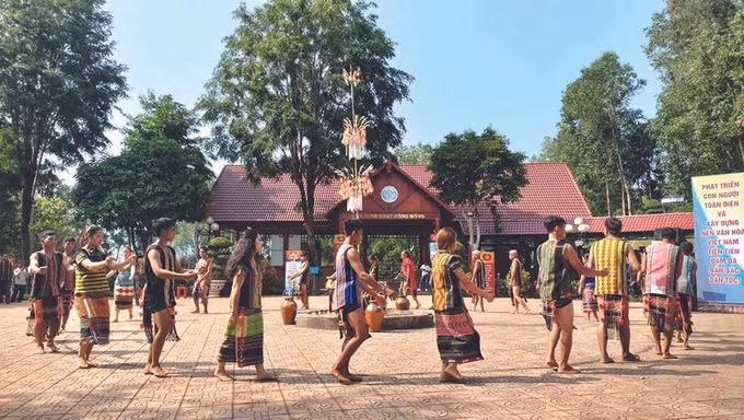 ស្តារពិធីបុណ្យអំណរស្រូវថ្មីរបស់ជនជាតិ ស្ទៀង ឡើងវិញ ảnh 3