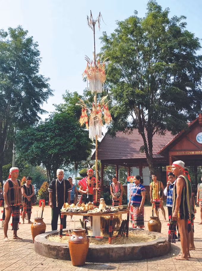 ស្តារពិធីបុណ្យអំណរស្រូវថ្មីរបស់ជនជាតិ ស្ទៀង ឡើងវិញ ảnh 2