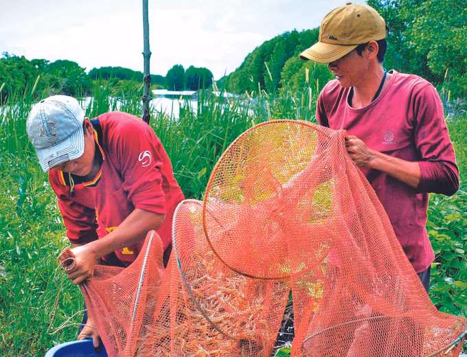 ភូតឹន - បំណងប្រាថ្នាធ្វើមានពីសមុទ្រ ảnh 6