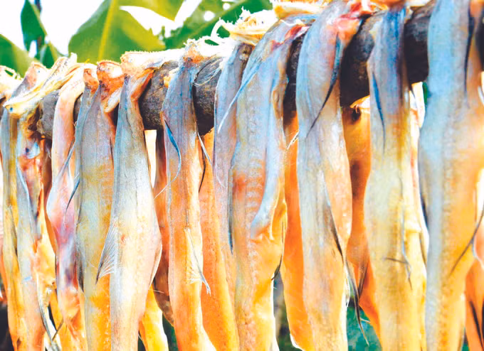 ភូតឹន - បំណងប្រាថ្នាធ្វើមានពីសមុទ្រ ảnh 4