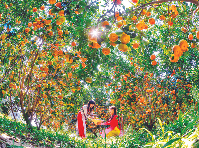 សម្រស់នៃនិទាឃរដូវនៅភាគខាងត្បូង ảnh 1