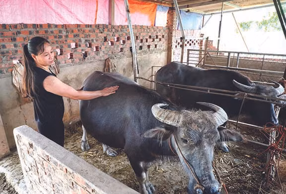 ពិពិធភាពរបៀបធ្វើក្នុងការងារកាត់បន្ថយភាពក្រីក្រនៅស្រុក ហៀបហ្វា ảnh 2