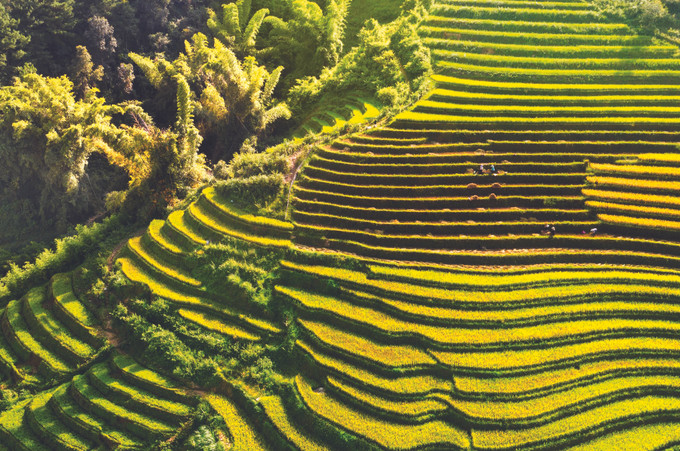 បណ្តាកាំជណ្តើរដ៏មហស្ចារ្យ ảnh 1