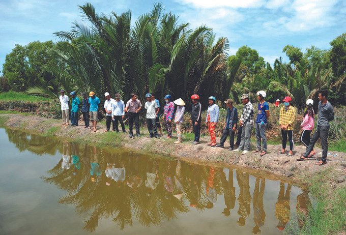 ថ្នាក់ហ្វឹកហ្វឺនបច្ចេកទេសចិញ្ចឹមបង្កងជូនបងប្អូនជនជាតិ ខ្មែរ នៅភូមិ ដុងត្រាញ់ ឃុំ វិញប៊ិញបាក់ ស្រុក វិញធន់ (ខេត្ត កៀនយ៉ាង) ខេត្ត កៀនយ៉ាង បណ្តុះបណ្តាលវិជ្ជាជីវៈផ្សារភ្ជាប់ជាមួយតម្រូវការរបស់បងប្អូនជនជាតិ ảnh 1