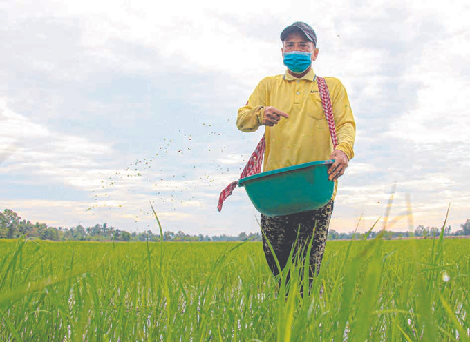 មកពីការបង្កបង្កើតផលយ៉ាងឧស្សាហ៍ព្យាយាម ចេះសន្សំសំចៃក្នុងការចាយវាយទុកលុយសម្រាប់ទិញដីធ្លីបន្ថែម មកទល់សព្វថ្ងៃនេះគ្រួសារលោក ថាច់ សាខា មានផ្ទៃដីដាំស្រូវចំនួន ៤ ហិកតាហើយមានផ្ទះសំបែងធំទូលាយជាបង្គួរទៀតផង លោក ថាច់ សាខា កសិករ ខ្មែរ ម្នាក់អស់ពីចិត្តពីថ្លើមដើម្បីសហគមន៍ ảnh 1