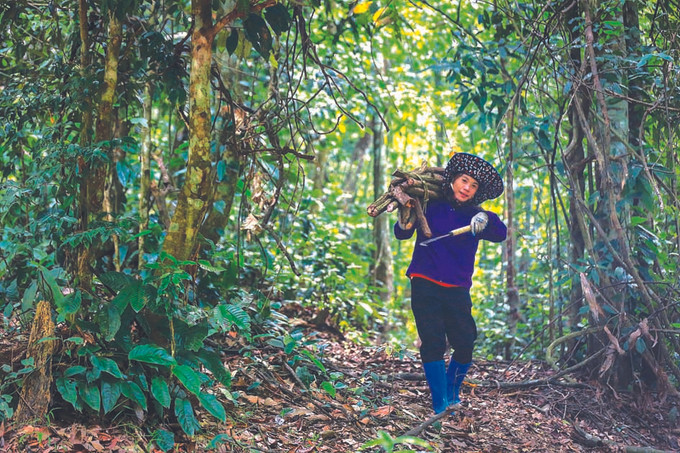 អ្នកគ្រូឱសថបុរាណជនជាតិ យ៉ាវ ម្នាក់ជាមួយនិងមុខរបរឱសថដែលបន្តវេនក្នុងត្រកូល ảnh 3