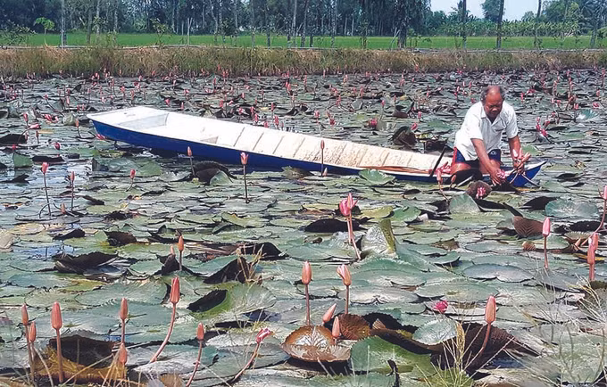 បង្កើតកម្លាំងចលករអភិវឌ្ឍតំបន់បងប្អូនជនជាតិ ខ្មែរ ảnh 3