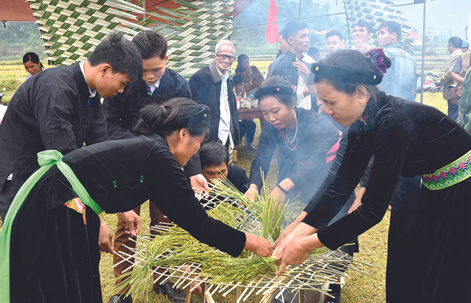 ក្រោមថ្វីដៃដ៏ប៉ិនប្រសប់ទាំងគូររបស់បងស្រីជាច្រើនរូប បាច់ស្រូវទាំងឡាយត្រូវបានត្រឡប់ទៅត្រឡប់មកជារឿយៗ នៅលើមាត់ឡ បន្ទាប់មកបានដាក់ចូល ក្នុងត្បាល់បុកអំបុក លក្ខណៈដ៏វិសេសវិសាលនៃពិធីបុណ្យដាល់អំបុករបស់ជនជាតិ តៃ នៅតំបន់ភ្នំ កូនឡូន ảnh 1