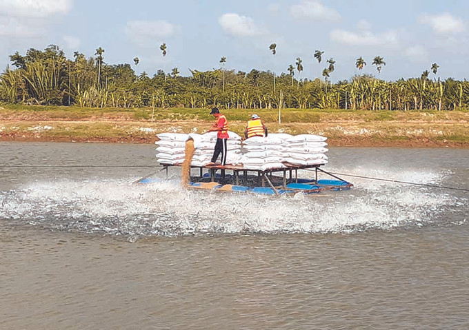 ភាពជោគជ័យដែលមិននឹកស្មានដល់នៅតំបន់ស្រុកស្រែចម្ការនៃខេត្ត ត្រាវិញ ảnh 6