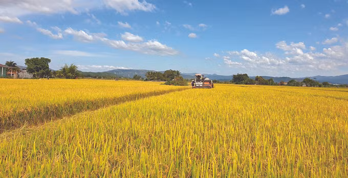 ដំណើបឃ្វិច ដាតែហ៍ ảnh 1