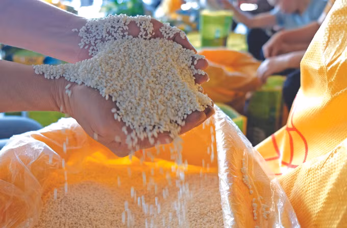 ដំណើបឃ្វិច ដាតែហ៍ ảnh 2