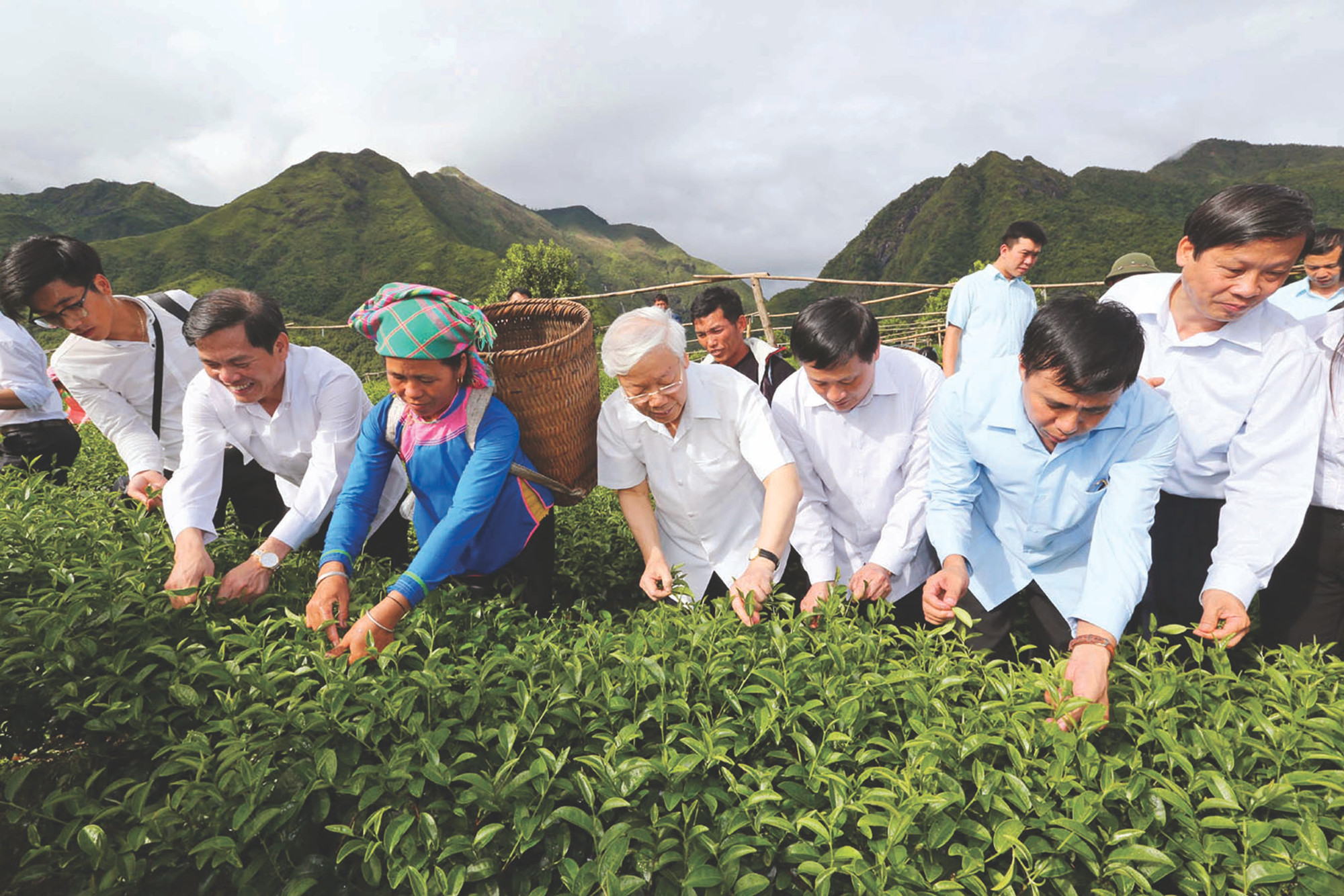 នាថ្ងៃទី ១៤ ខែ កក្កដា ឆ្នាំ ២០១៦ លោកអគ្គលេខាបក្ស ង្វៀន ភូត្រុង អញ្ជើញចូលរួមបេះតែជាមួយបងប្អូនជនជាតិនៅគំរូប្រពលវប្បកម្មផលិតតែ VietGAP នៅភូមិ កុកផាត ឃុំ ជនបទថ្មី បាន ប ស្រុក តាមដឿង (ខេត្ត ឡាយចូវ)