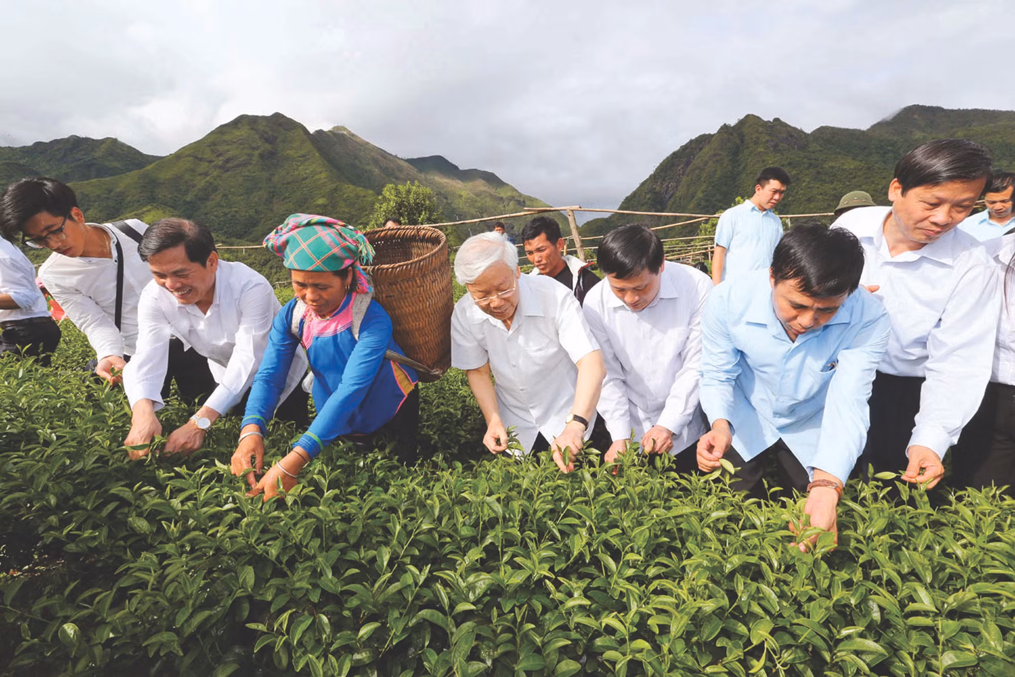នាថ្ងៃទី ១៤ ខែ កក្កដា ឆ្នាំ ២០១៦ លោកអគ្គលេខាបក្ស ង្វៀន ភូត្រុង អញ្ជើញចូលរួមបេះតែជាមួយបងប្អូនជនជាតិនៅគំរូប្រពលវប្បកម្មផលិតតែ VietGAP នៅភូមិ កុកផាត ឃុំ ជនបទថ្មី បាន ប ស្រុក តាមដឿង (ខេត្ត ឡាយចូវ)