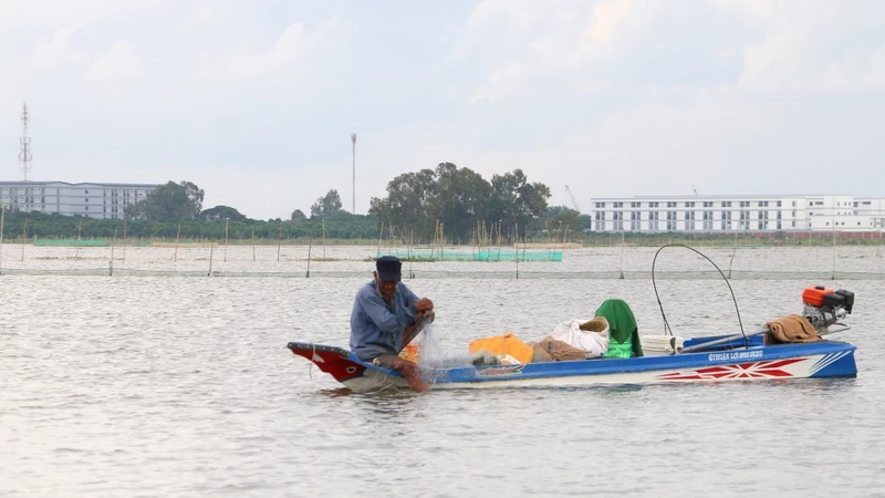 រកស៊ីចិញ្ចឹមជីវិតលើវាលលិចទឹកជំនន់នៅព្រំដែន ភាគនិរតី