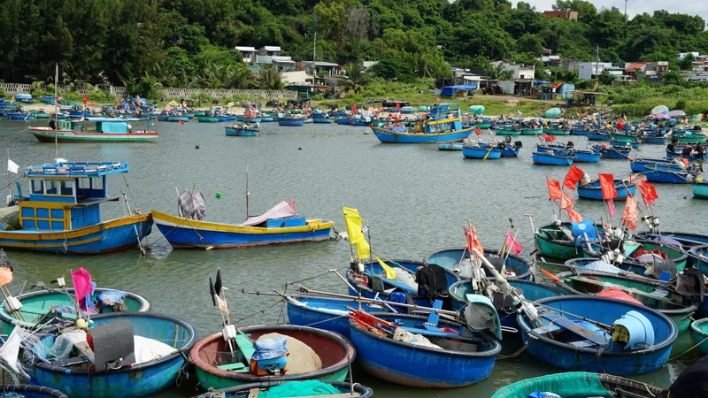 ការរកស៊ីចិញ្ចឹមជីវិតដោយទូកកញ្ជើ - លក្ខណៈវប្បធម៌ដ៏សាមញ្ញរបស់ប្រជាជននៅតំបន់សមុទ្រ