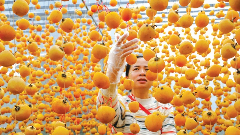 ខ្សែចង្វាក់វេចខ្ចប់ផលិតផលតែបម្រើទីផ្សារនាំចេញរបស់អង្គភាពមួយនៅទីក្រុង បាវឡុក - ធានីនៃពាណិជ្ជសញ្ញា "តែ ប្លាវ"