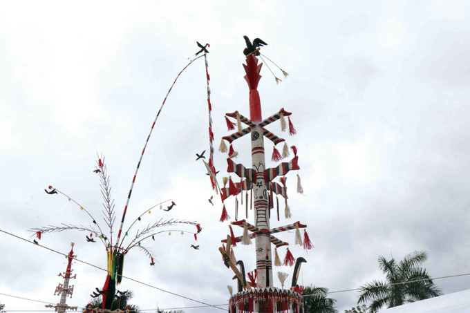 ក្នុងចំណោមប្រភេទដើមនេវរបស់បងប្អូនជនជាតិ ករ៍ ដើមនេវទង់គឺវិសេសវិសាលបំផុត 7.jpg