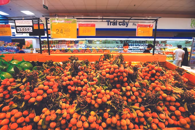 ខេត្ត បាក់យ៉ាង ជួយឧបត្ថម្ភបងប្អូនជនជាតិក្នុងការលក់ផ្លែគូលែន ảnh 3