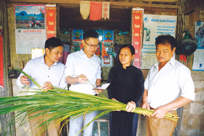 ស្វែងរកទិសដៅរួចផុតពីភាពក្រីក្រសម្រាប់ប្រជាជននៅឃុំ កូបា ảnh 2