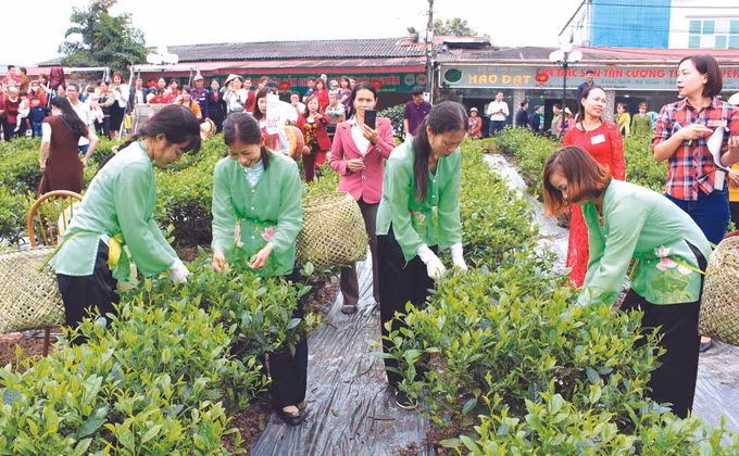 ឃុំ តឹនកឿង អភិវឌ្ឍទេសចរណ៍សហគមន៍ផ្សារភ្ជាប់ជាមួយនឹងបរិយាកាសវប្បធម៌តែ ảnh 1