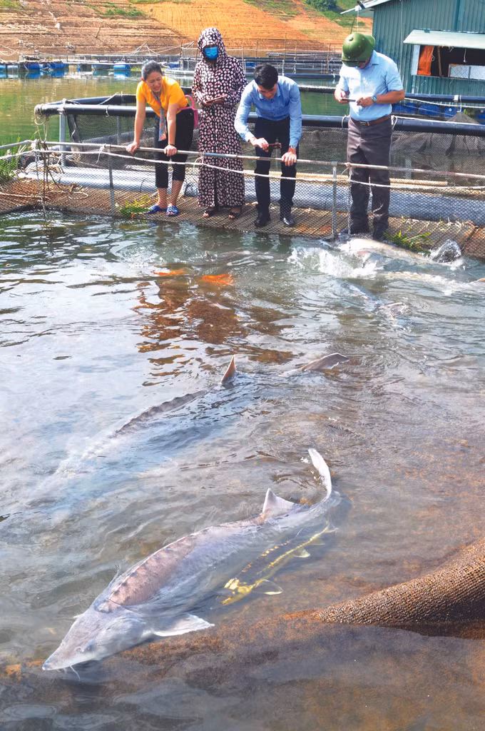 ស្រុក មឿងឡា គោលដៅដ៏ទាក់ទាញនៅតំបន់ព្រៃភ្នំ តីបាក់ ảnh 5