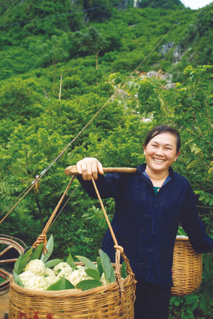 ទៀប ជីឡាំង ផលិតផលពិសេសប្រចាំតំបន់ ảnh 3