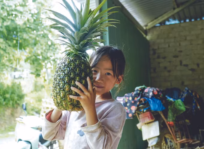 ម្នាស់ - ដំណាំ ជួយឲ្យជនជាតិ ម៉ុង រួចផុតពីភាពក្រីក្រ ảnh 3