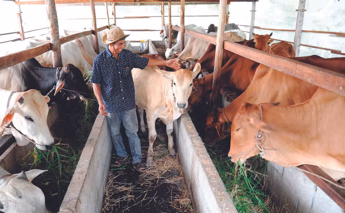 បង្កើតការងាររកស៊ីចិញ្ចឹមជីវិតចីរភាពជូនបងប្អូនជនជាតិ ខ្មែរ នៅស្រុក ទិញបៀន ảnh 1