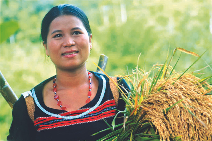 ដោយសារជំរុញយ៉ាងខ្លាំងក្លាការអនុវត្តការងារកាត់បន្ថយភាពក្រីក្រ ជីវភាពបងប្អូនជនជាតិនៅតំបន់ភ្នំនៃស្រុកទេស ក្វាង ត្រូវបានបន្តកែលម្អ ខេត្ត ក្វាងណាម ទប់ស្កាត់ការធ្លាក់ខ្លួនក្រឡើងវិញ ảnh 4