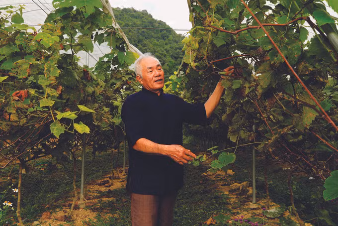 ស្ពានតភ្ជាប់រវាងឆន្ទៈបក្ស ទឹកចិត្តប្រជាជននៅខេត្ត កាវបាំង ảnh 7