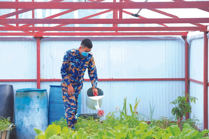 កម្លាំងរស់រាននៅលើកោះ ស៊ិញតូនដុង ảnh 3